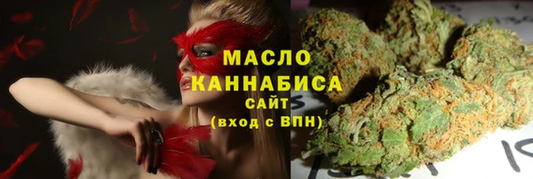 хмурый Новозыбков