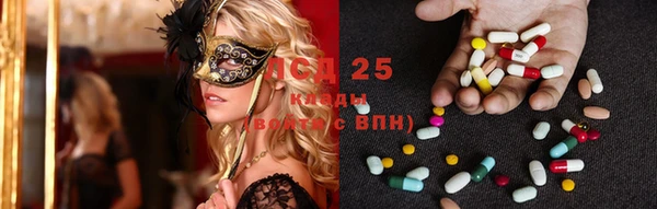 гашиш Новодвинск