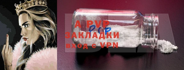 хмурый Новозыбков