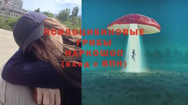 хмурый Новозыбков
