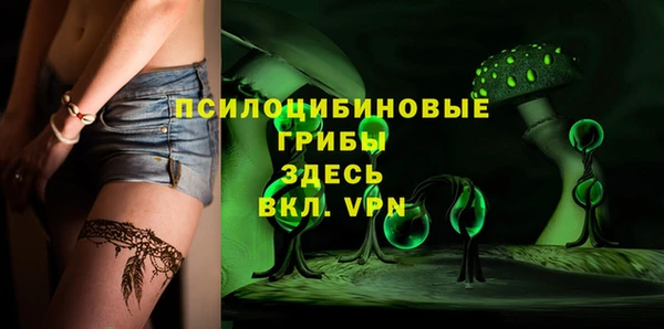 хмурый Новозыбков