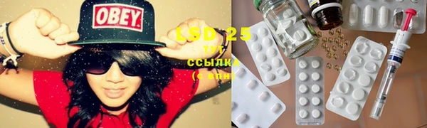 хмурый Новозыбков