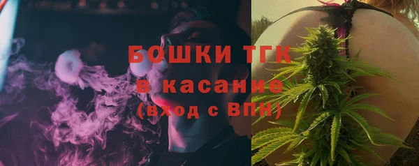 хмурый Новозыбков