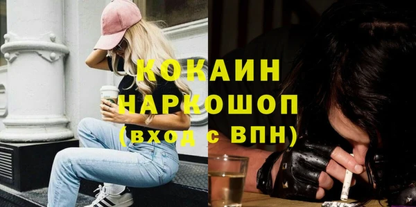 хмурый Новозыбков