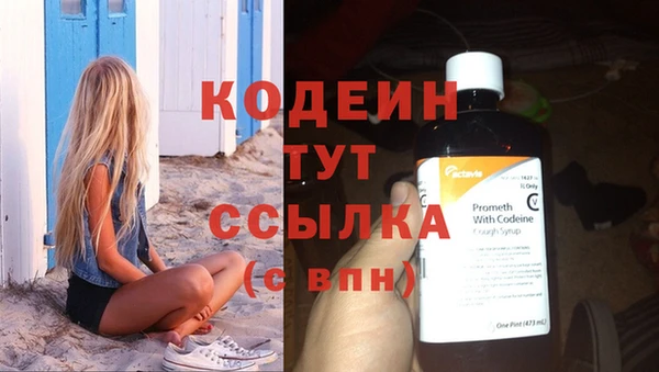 хмурый Новозыбков