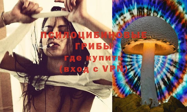 гашиш Новодвинск