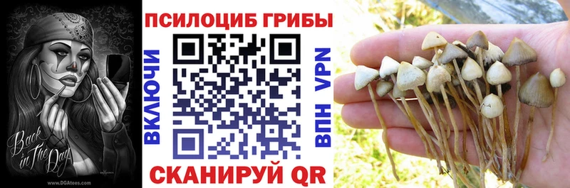 hydra онион  Иноземцево  маркетплейс формула  Псилоцибиновые грибы мицелий 